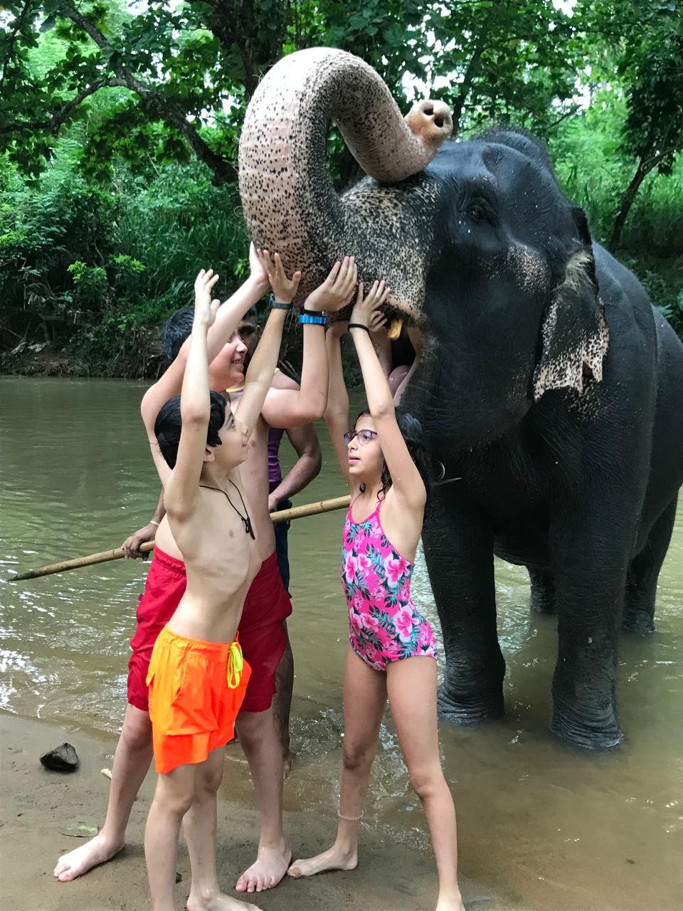 Sri Lanka tour guide and driver providing hotel transfers