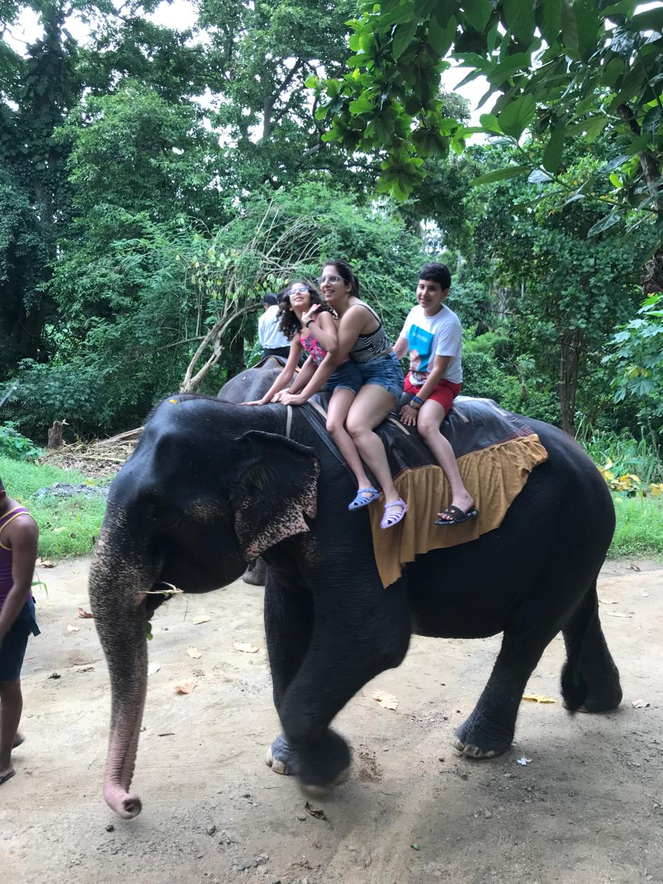 Sri Lanka safari and landscape views during private tour